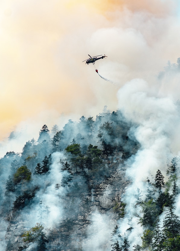 Extinguishing a forest fire