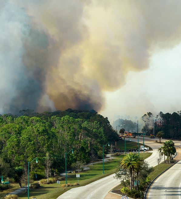 Smoke Damage is a covered loss